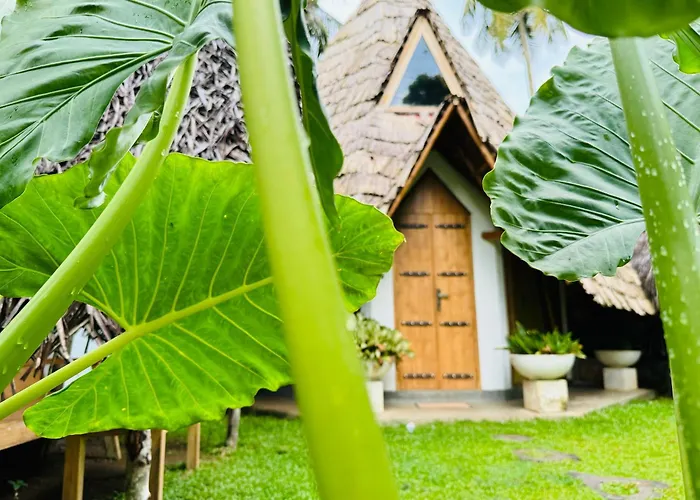 Turtle Wood Cabin