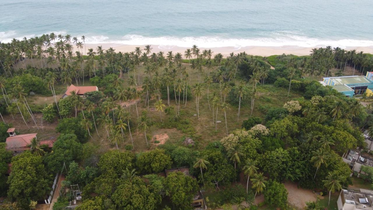 Camping Turtle Wood Tangalle