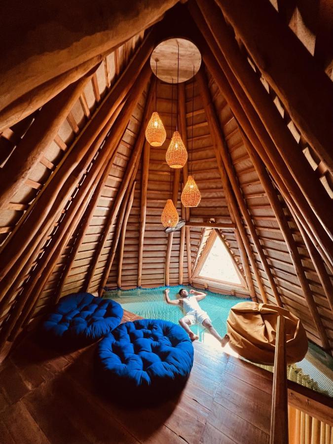 Camping Turtle Wood
