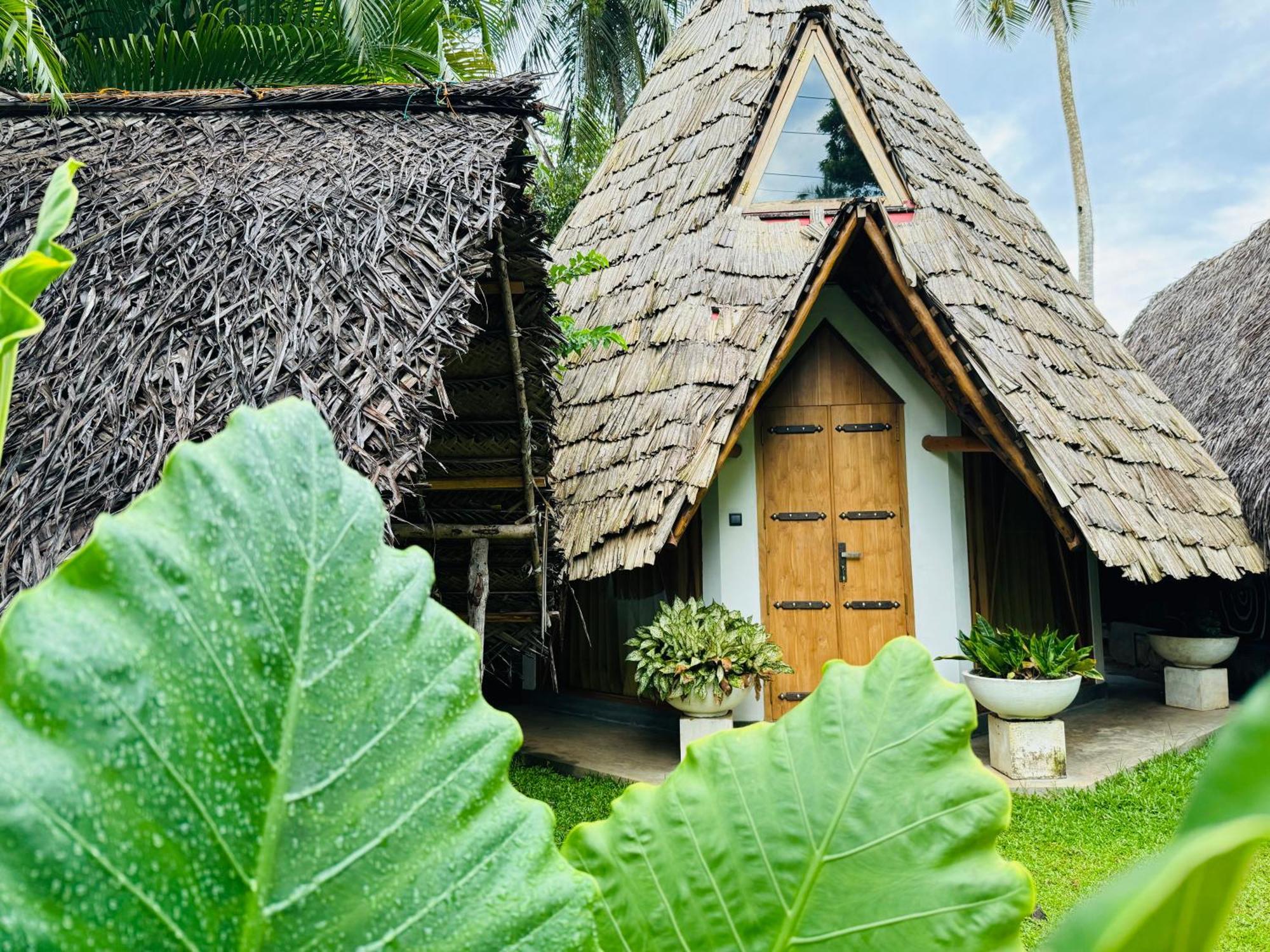 Turtle Wood Camping Tangalle