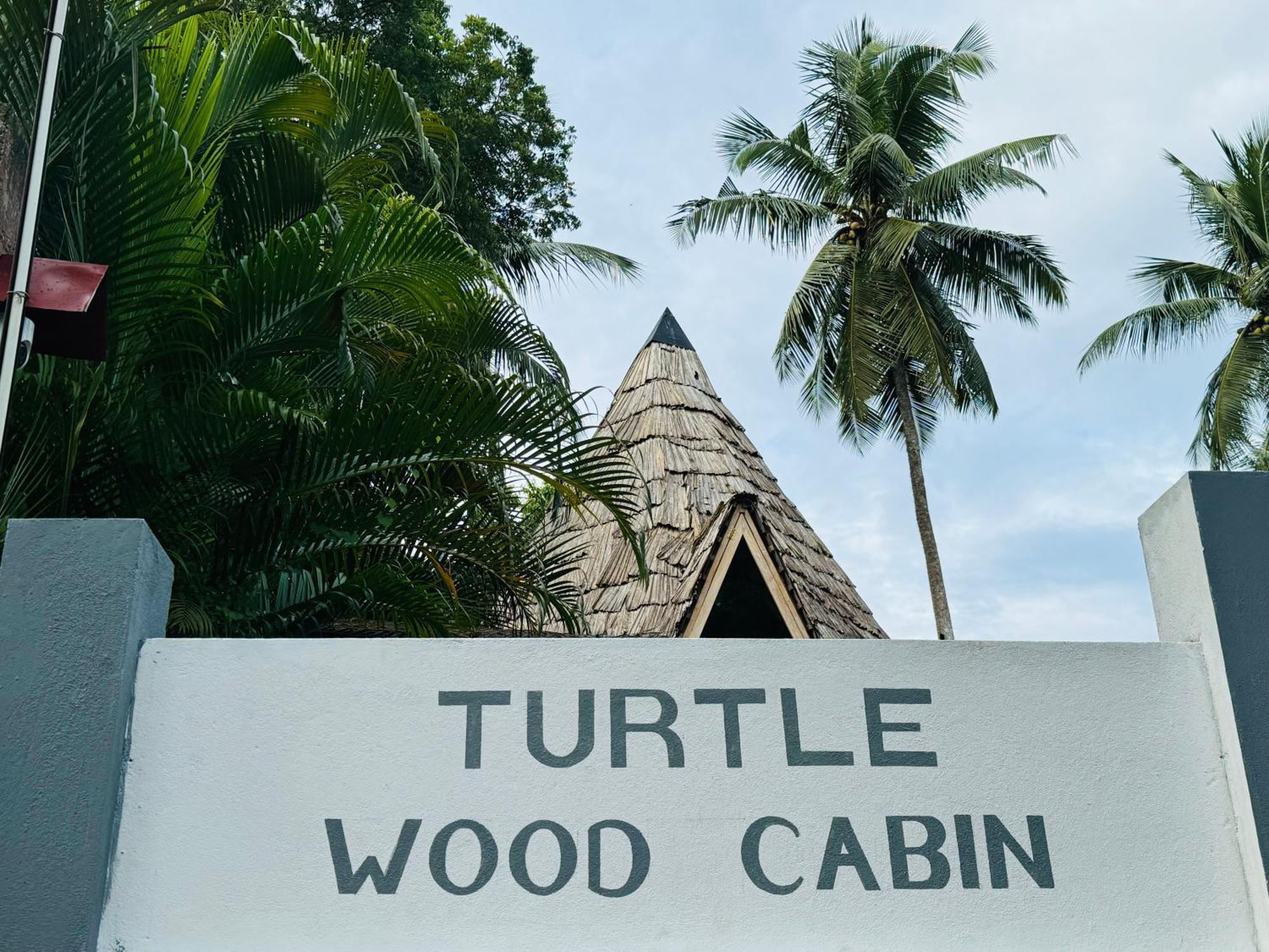 Turtle Wood *