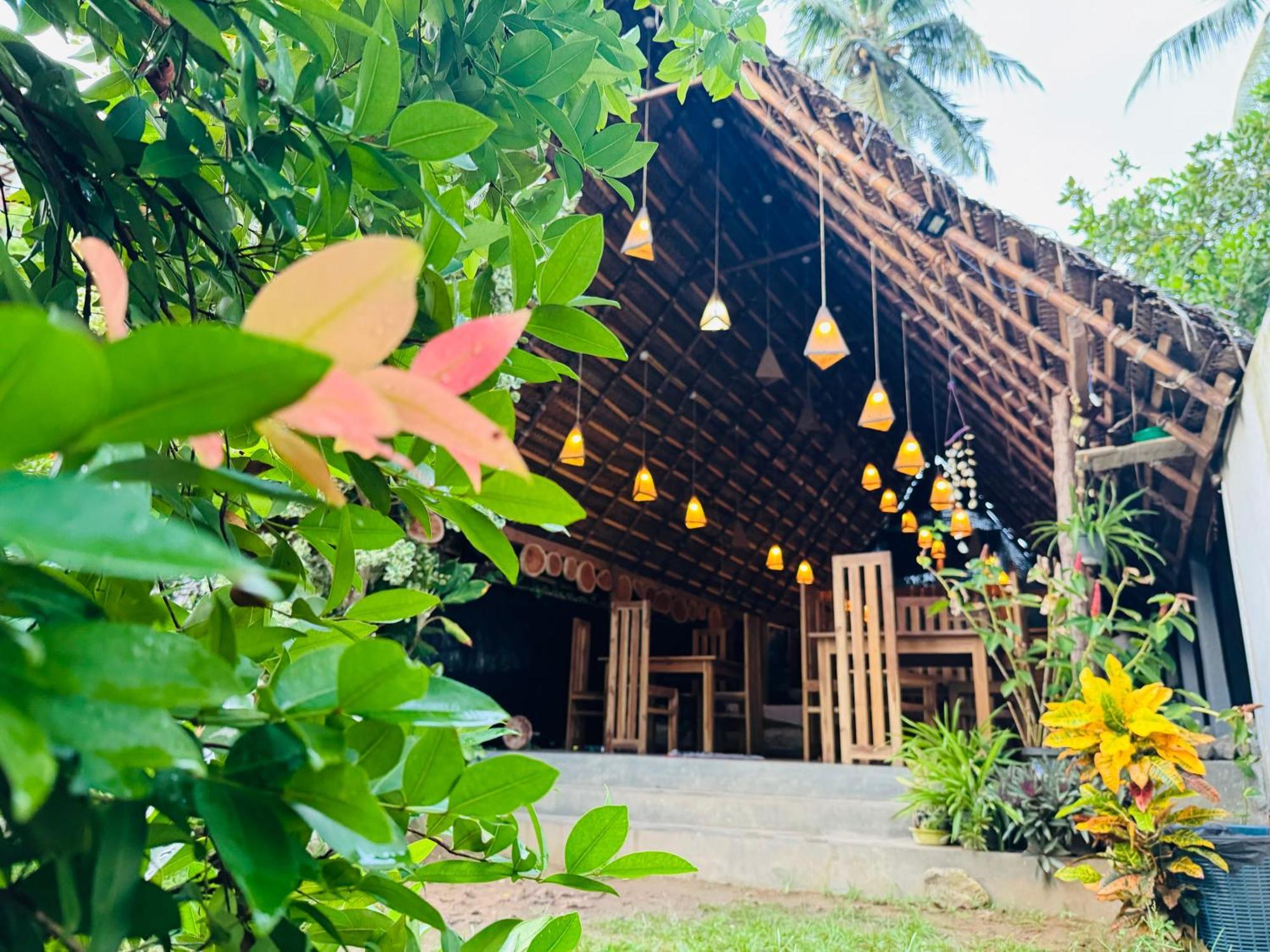 Camping Turtle Wood Tangalle