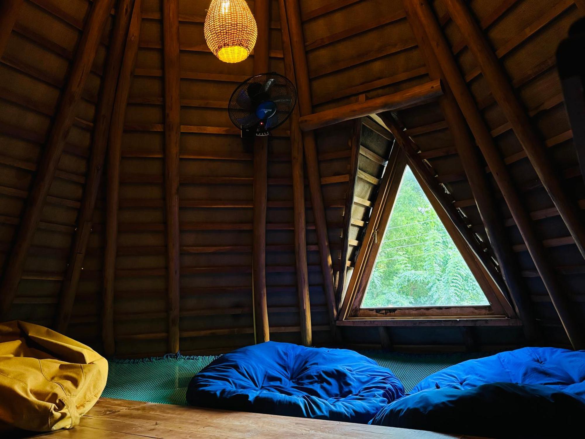 Turtle Wood Camping